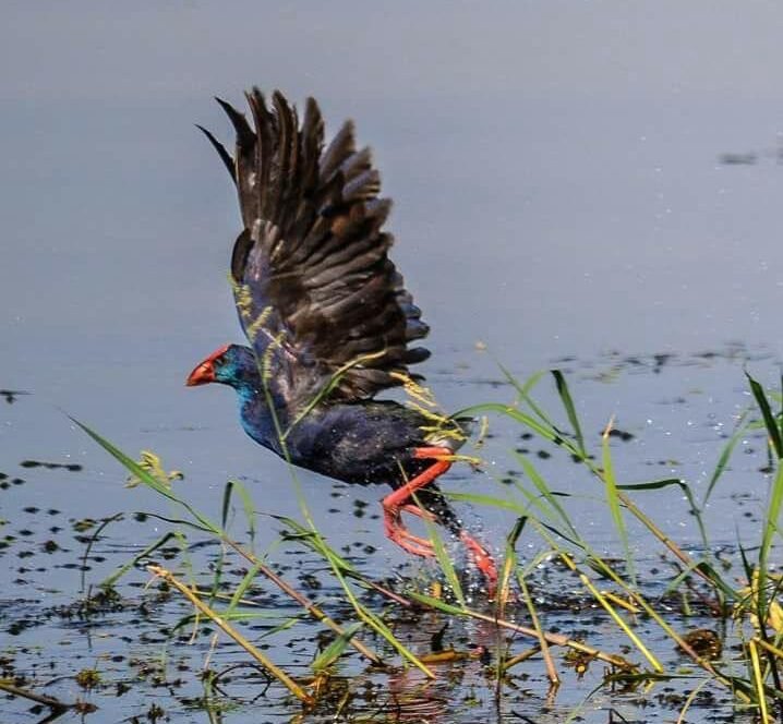 WhatsApp Image 2025 01 02 at 3.35.08 PM