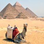 camel and Pyramids Trip with Nile cruise
