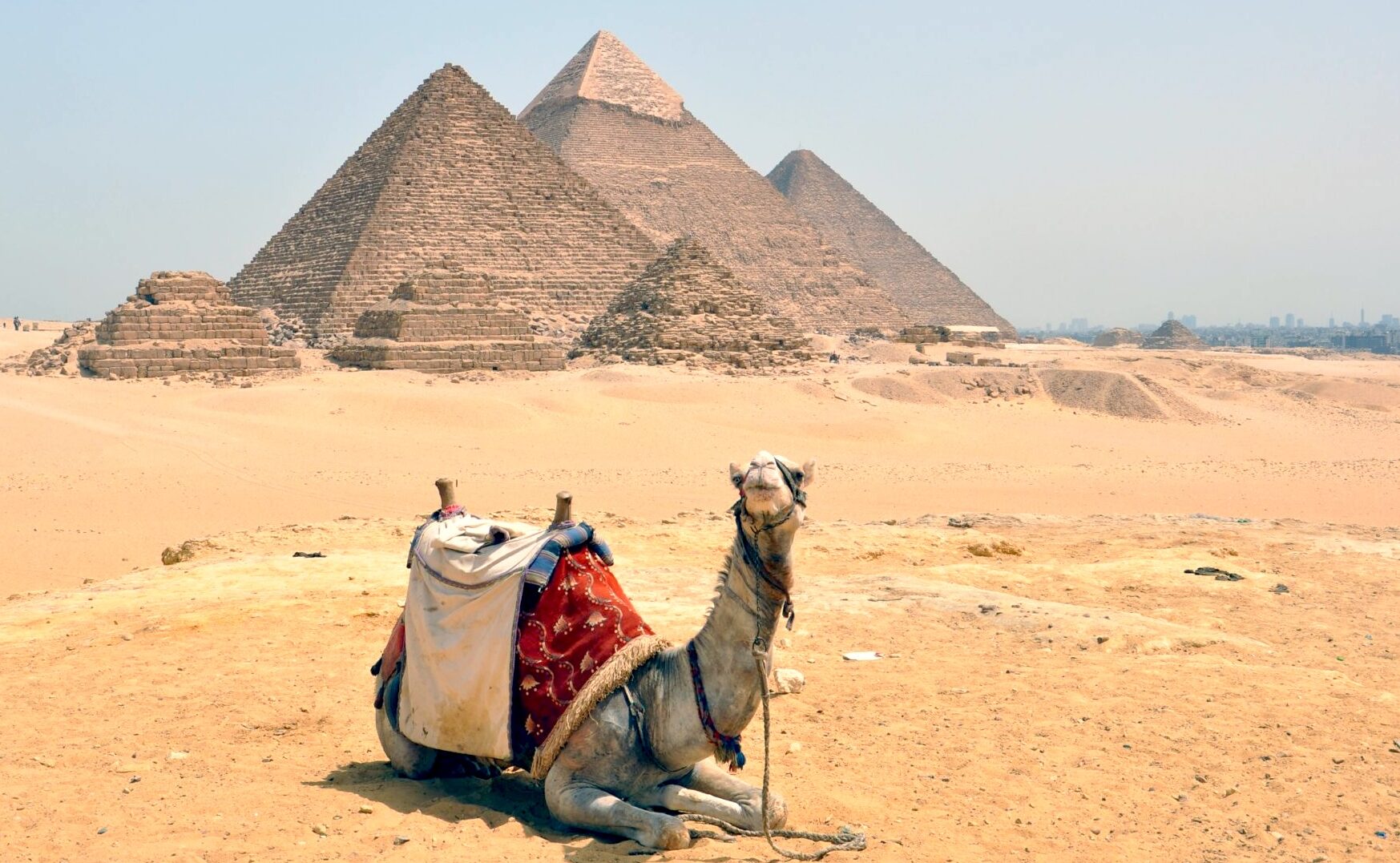 camel and Pyramids Trip with Nile cruise