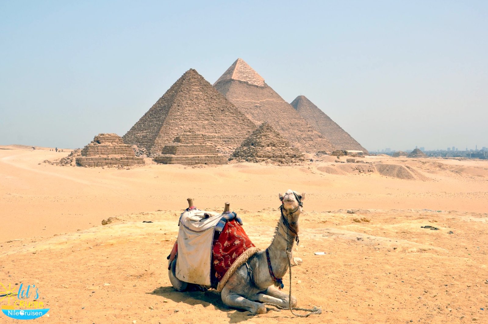camel and Pyramids Trip with Nile cruise