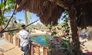 What are the best travel offers to Egypt?