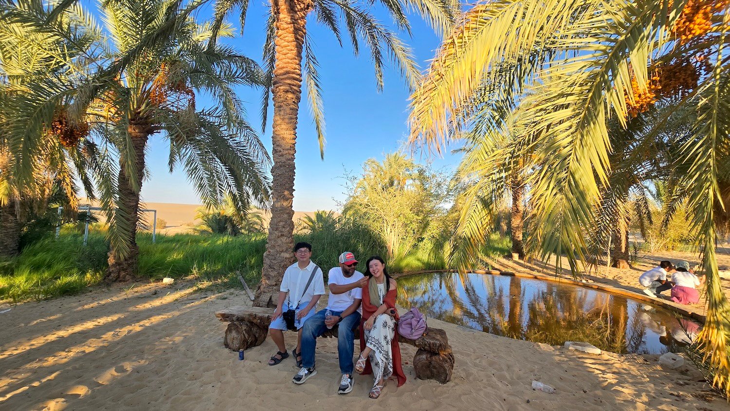 Explore Siwa oasis trip with elegant company