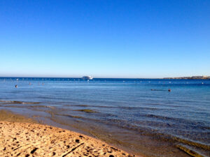 Know Everything about Red Sea