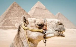 cairo egypt pyramid tours