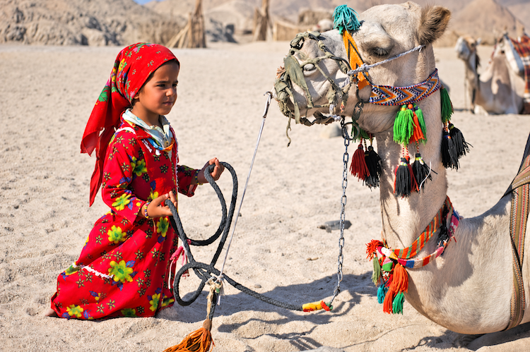 Beautiful Bedouin girl with the camel in the Egyptian oases