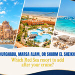 Hurghada, Marsa Alam, or Sharm El Sheikh