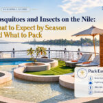 Mosquitoes and Insects on the Nile: What to Expect by Season and What to Pack
